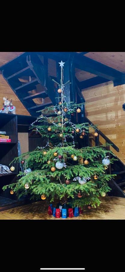 Котедж Chalet Adriana บูโคเวล ภายนอก รูปภาพ